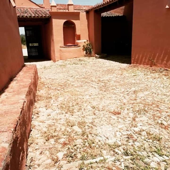 Albergue Turistico La Almazara Villafranca de los Barros Luaran gambar