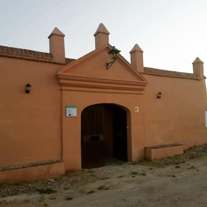 Albergue Turistico La Almazara Villafranca de los Barros Luaran gambar