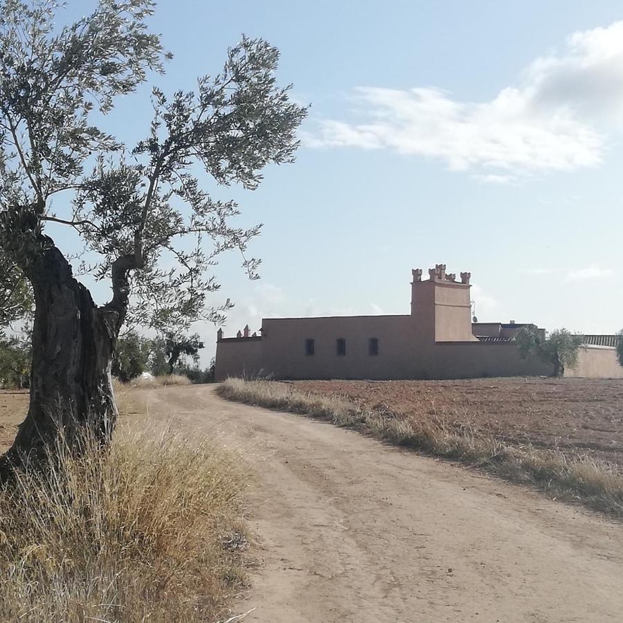 Albergue Turistico La Almazara Villafranca de los Barros Luaran gambar