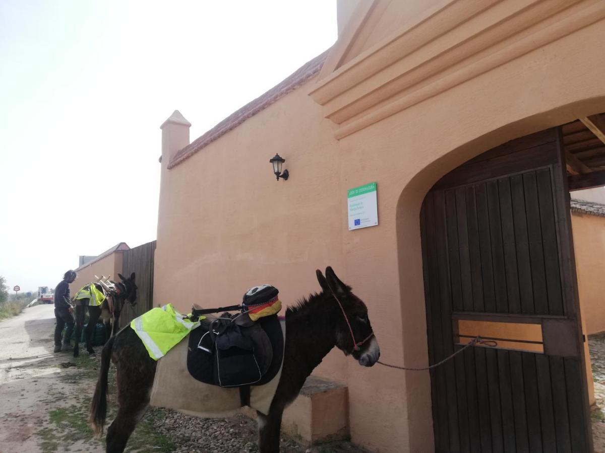 Albergue Turistico La Almazara Villafranca de los Barros Luaran gambar