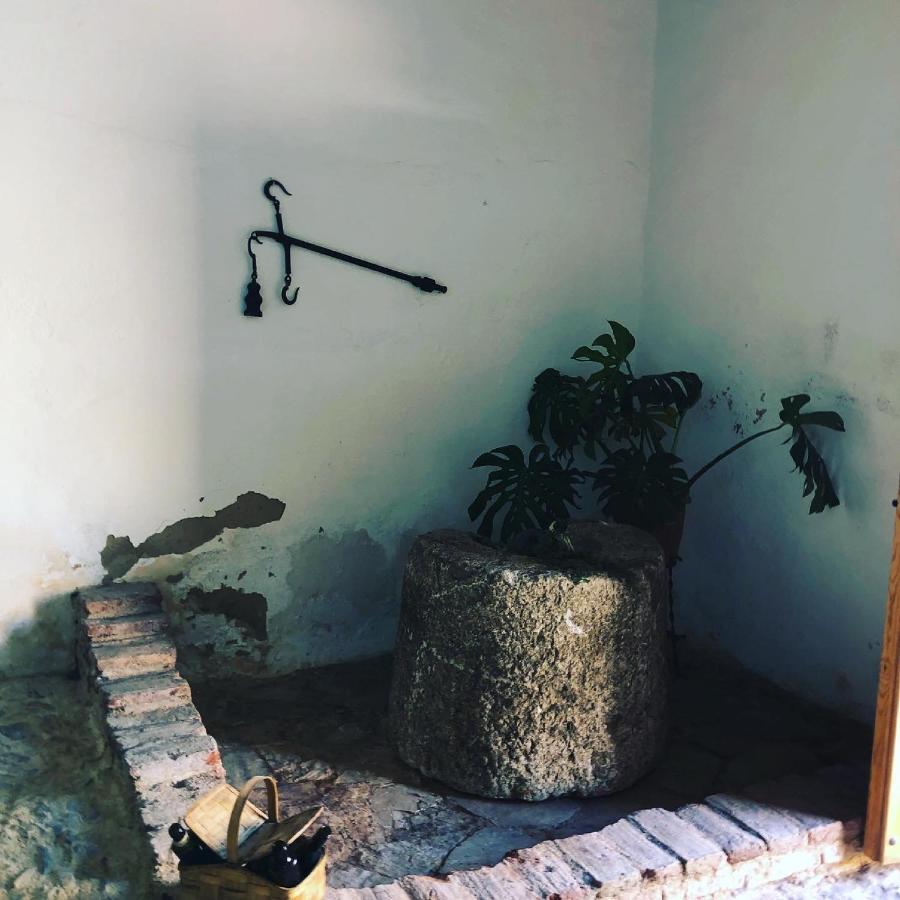 Albergue Turistico La Almazara Villafranca de los Barros Luaran gambar